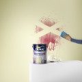 DULUX EasyCare