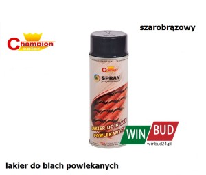 Champion color spray 400ml - do blach szarobrązowy