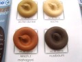 Beko kit do parkietu 310ml
